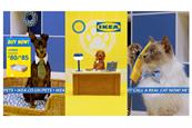 Ikea and Mother unveil shopping channel for pets