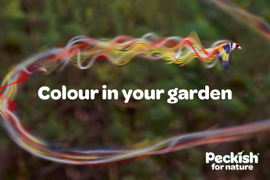 A bird flies across the screen with the tagline "Colour in your garden".