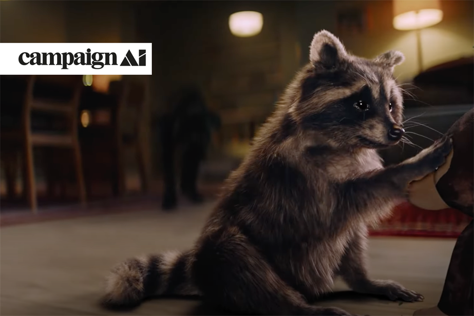 Lidl ad with raccoon